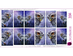 Слайдер-дизайн 356 - Сова на фиолетовом фоне, фото-арт