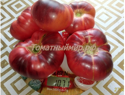 Томат Лазурный гигант (Azure Giant)