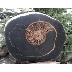 Эксклюзивный камень №2