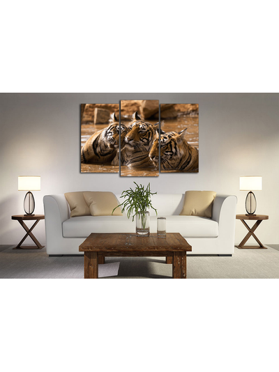 Модульная картина "Тигры в воде"