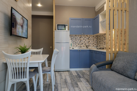 Апартаменты с 1 спальней и террасой