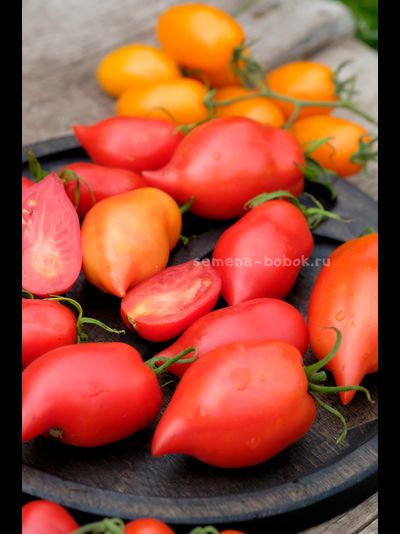 Томат Черевички, 10 шт