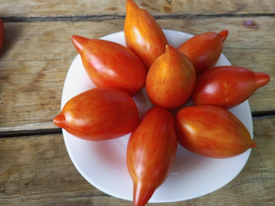 Томат Сливка полосатая