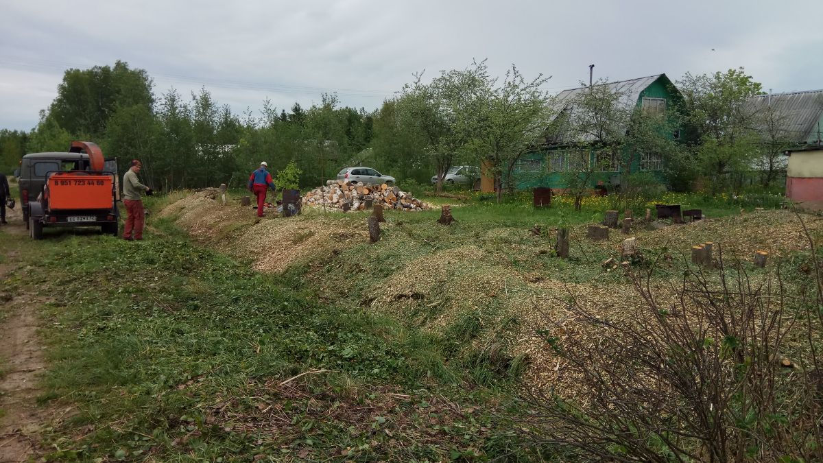 Расчистка дачного участка от деревьев в Киришском районе Ленинградской области