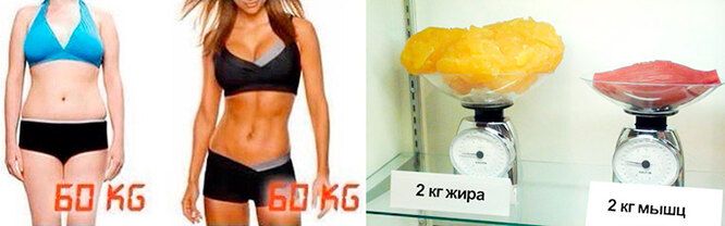 Разные фигуры при одном весе, сравнение плотности жировой и мышечной тканей