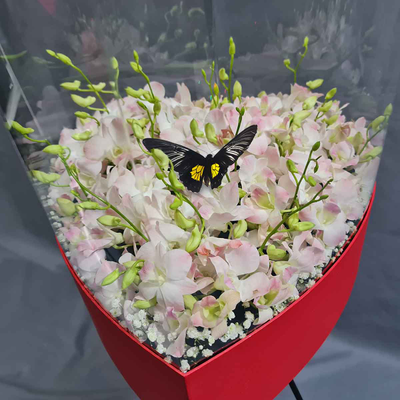 Большой букет с орхидей 201 шт. с большой бабочкой №111