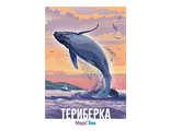 268 Териберка. Магическое море