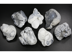 Кахолонг (Опал), желвак цельный в ассортименте, Оренбургская обл. (48-55 мм, 49-55 г) №29435