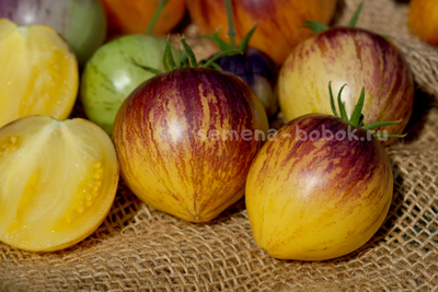 Томат Rebel Starfighter Kayleigh Anne (Восставший Звездный Истребитель Кейли Энн сердце), 10 шт