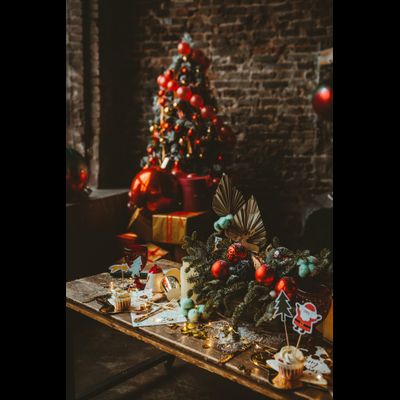 Оформление фотосессии в новогодних оттенках № 1469