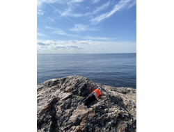 Духи НОТА: ЖЕНСКОЕ ПРИСУТСТВИЕ, 2.5 мл