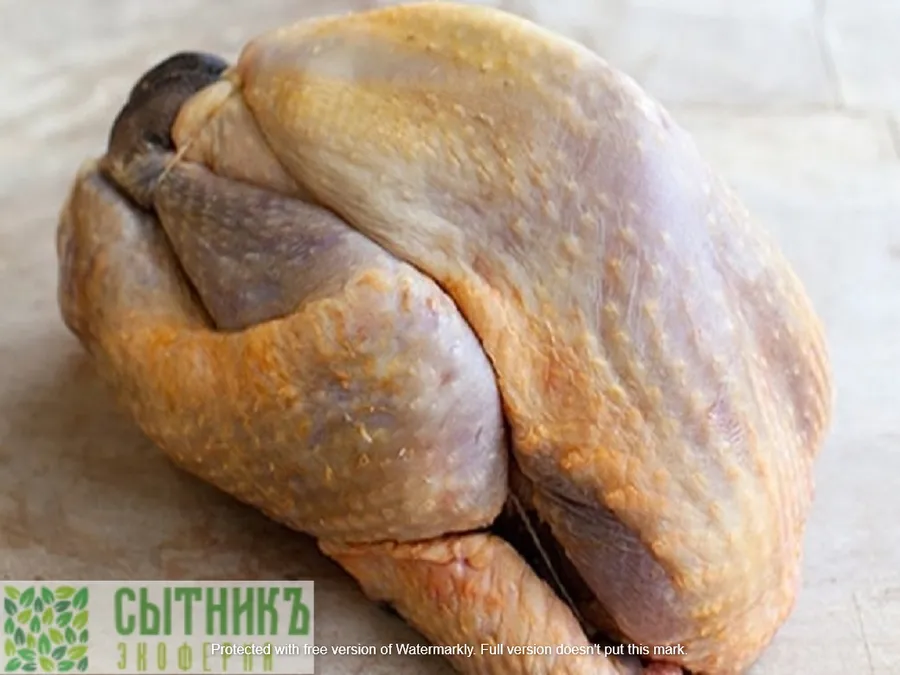 Фермерское мясо цесарки с доставкой на дом