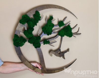 ЖИВАЯ ЭКО-КАРТИНА 1013