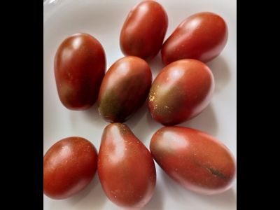 Томат Шоколадка