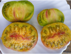 Томат Мятные полосы (Dwarf Peppermint Stripes)