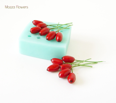 "Барбарис" силиконовый молд