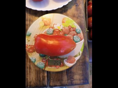 Томат Суперрог Павла (Super Corro di Paolo), Италия