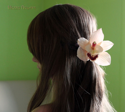 Орхидея Цимбидиум .