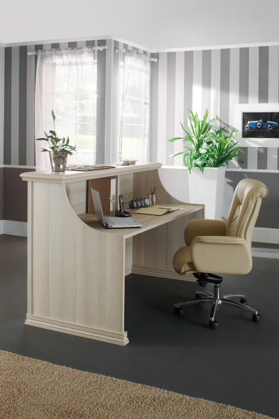 Кабинет руководителя PORTO