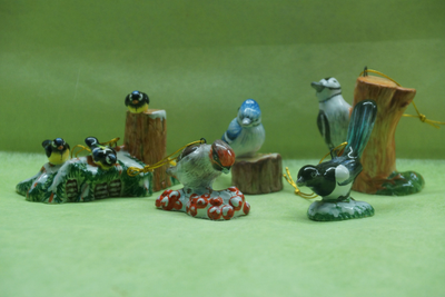 Сойка - Птицы России