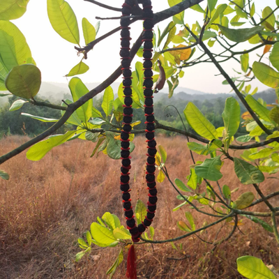 Четки Premium quality из натуральной крупной Рудракши 108 бусин черные