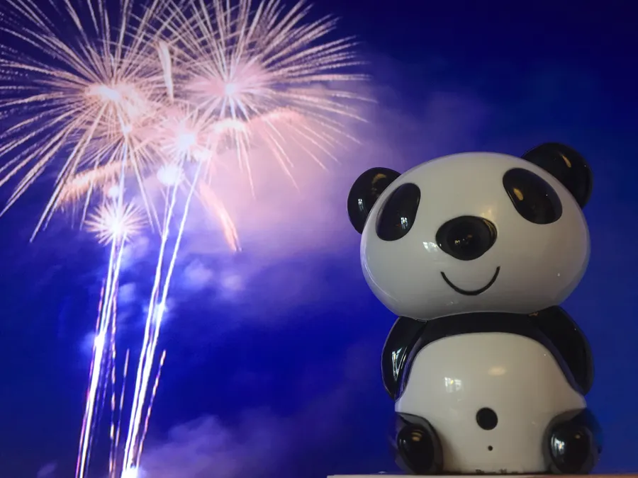 IP видеоняня ПАНДА, WiFi видеокамера ПАНДА, Мишка панда - бесппроводная видеокамера, IP радионяня