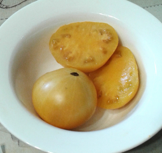 Семена томата Совершенная Гармония Гном