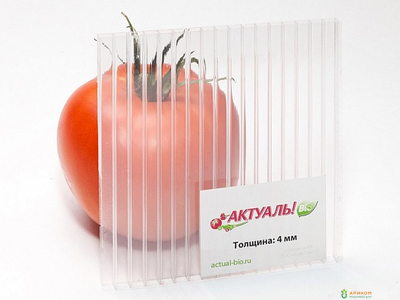 Сотовый поликарбонат Актуаль Bio (Казань) 0,6 кг/м2