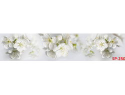 SP-250 Глянцевая стеновая панель ALBICO  2800*610*6мм.