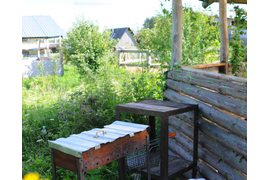 Аренда беседки с мангалом