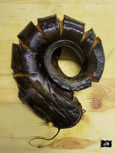 Сом г/к КОЛЕЧКО