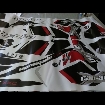Наклейки на квадроцикл Can-am BPR Renegade #771
