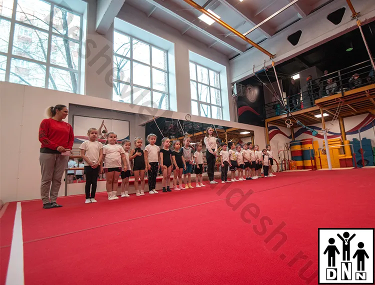 Помост гимнастический на пружинной основе. Томск,  Реактор