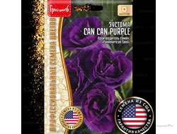 Эустома Can Can Purple однолетник 4шт (Ред.Сем)