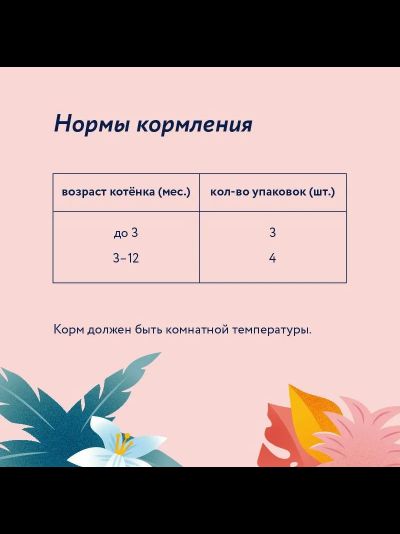 Florida (Флорида) влажный корм (пауч) для котят, кусочки с индейкой и тыквой в желе 85 г