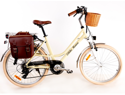 Электровелосипед Elbike Monro Vip