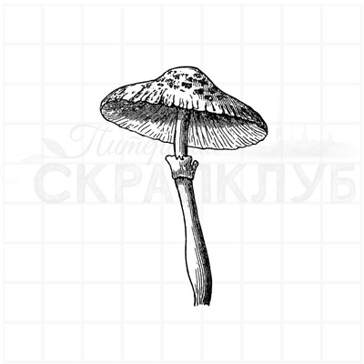 ФП штамп "Мухомор"