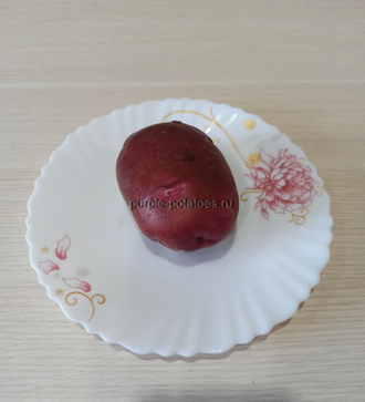 Картофель Две Розы