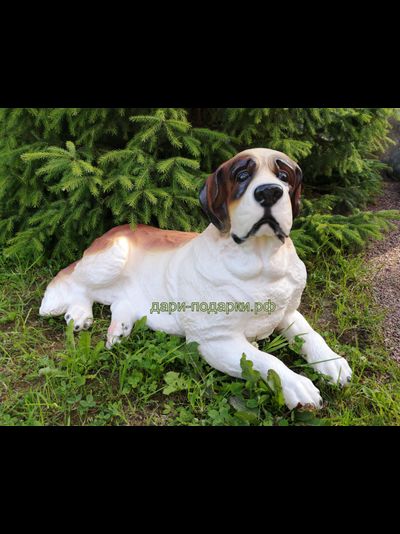 СЕНБЕРНАР 49*80см   6,4кг  полистоун Россия 5489/012323