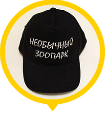 Бейсболки