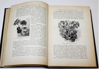 Гесдерфер М. Комнатное садоводство. СПб.: Изд. А.Ф.Девриена, 1904.