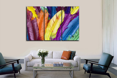 Модульная картина "Перья"