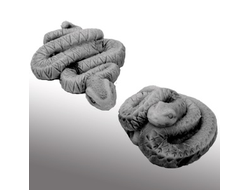 Змейка с плоским дном, 2 вида.ОПТ