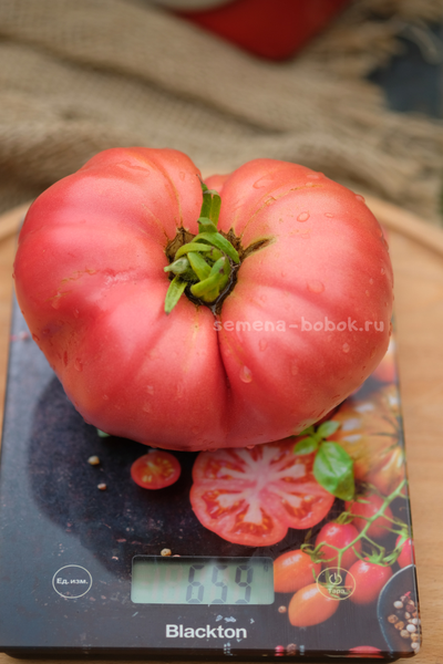 Томат Минусинский Безразмерный, 10 шт