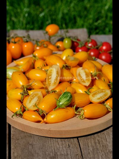 Томат Guinel Yellow (Гуинель жёлтый), 10 шт