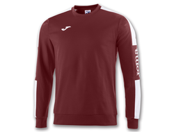 Кофта детская Joma Champion IV 100801.652