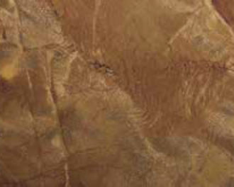 Клеевые полы - Напольное пробковое покрытие DIVINA Series D Mouro Brown