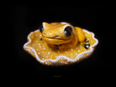 Мини-брошь "Притягивающая солнечный свет", украшение с лягушкой