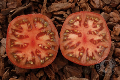 Томат Heart's Delite Black, 10 шт