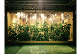 Бутафория из стеклопластика-имитация живого дерева